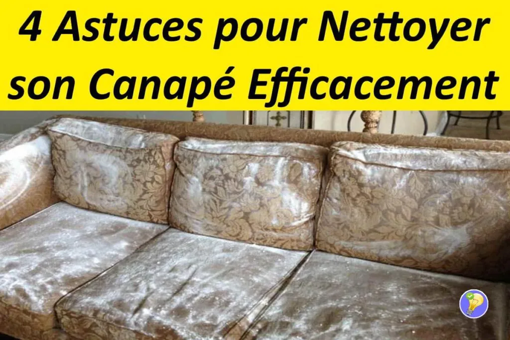 Nettoyer un canapé en daim : les astuces efficaces 
