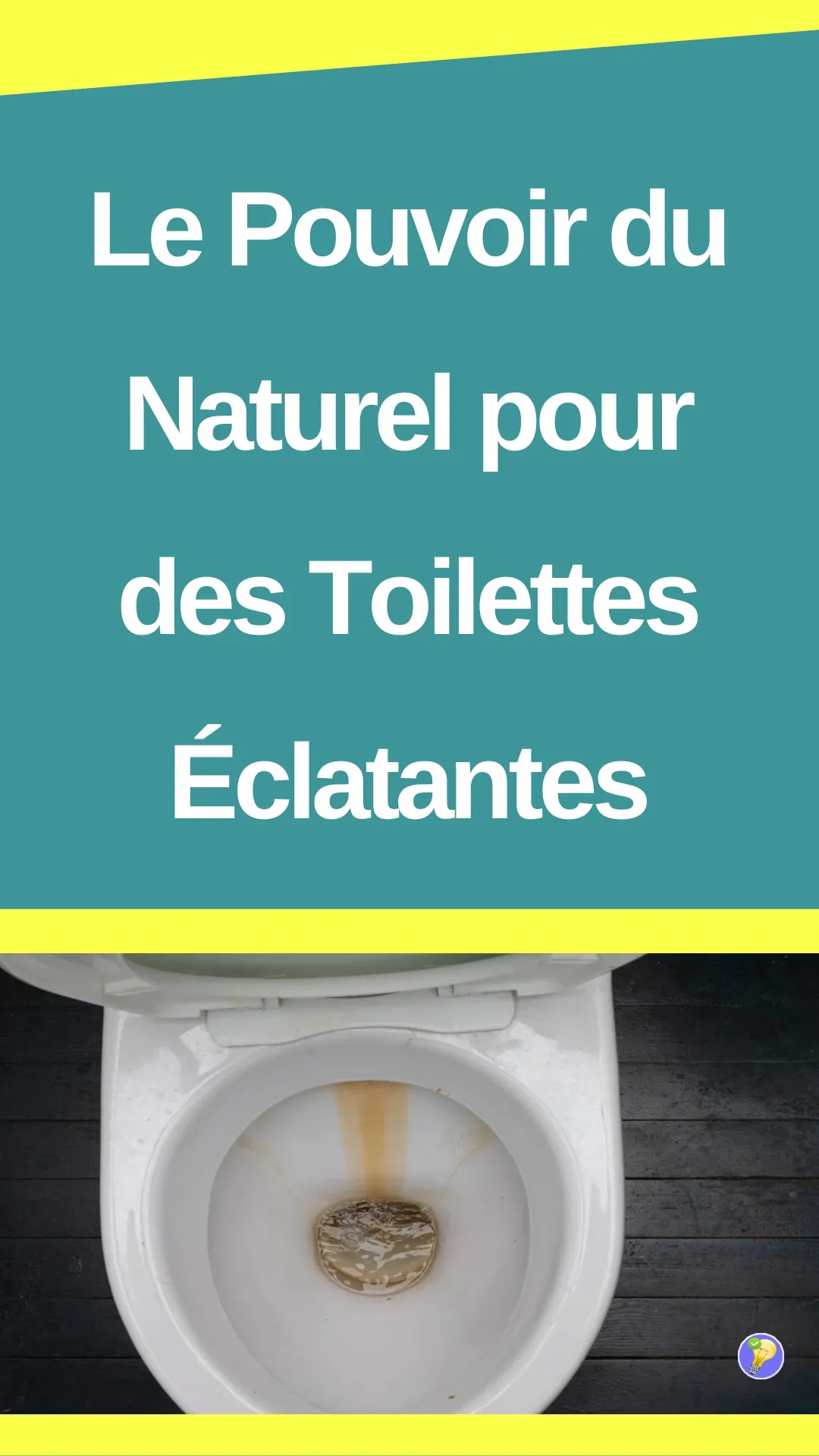 Astuce naturelles pour nettoyer ses toilettes 